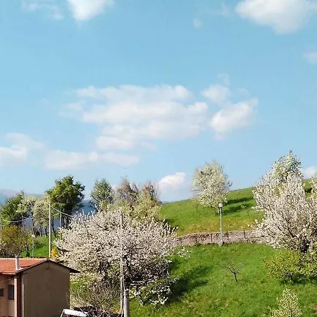 Casa Del Sole 550s Polizza